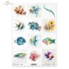 błazenek, skrzydlica, iglicznia, wargacz, mandaryn, papugoryba, akwarela, ryby*clownfish, lionfish, pipefish, wrasse, mandarinfish, parrotfish, watercolor, fish